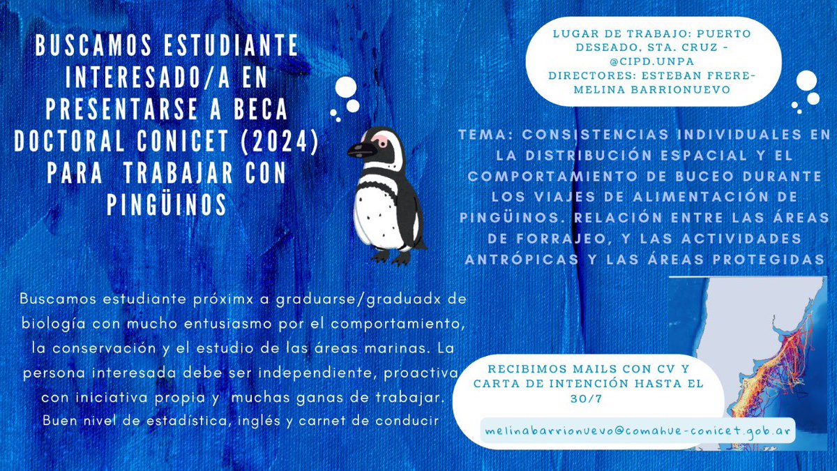 Melina Barrionuevo (@melusbarrios) on Twitter photo Con <a href="/EstebanFrere5/">Esteban Frere</a> buscamos candidata/o a doc para trabajar en Puerto Deseado con los Magallanes!
Ni vencidos aún vencidos 💪🏽
Aguante la ciencia argentina 💙 Con <a href="/EstebanFrere5/">Esteban Frere</a> buscamos candidata/o a doc para trabajar en Puerto Deseado con los Magallanes!
Ni vencidos aún vencidos 💪🏽
Aguante la ciencia argentina 💙