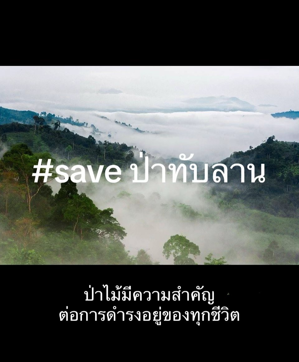 a_phangein's tweet photo. #Saveทับลาน https://t.co/ciNq5aK2Bi