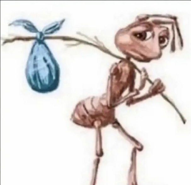 buuckz's tweet photo. homens após o pau ficar meia bomba no meio do sexo e ele ser obrigado a bater a punhetinha do desespero na expectativa do pau ficar duro dnv e não conseguir https://t.co/r1TI6DcZaE