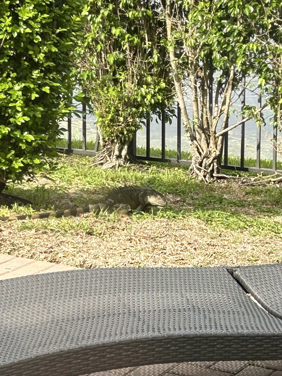 Mark Mallon 🏴☠️ tweet media