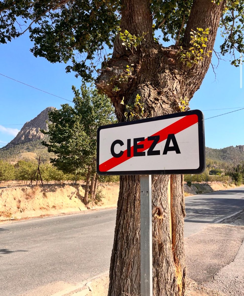 GoldeMichu's tweet photo. Cieza es rayista. https://t.co/19lACUBPNl