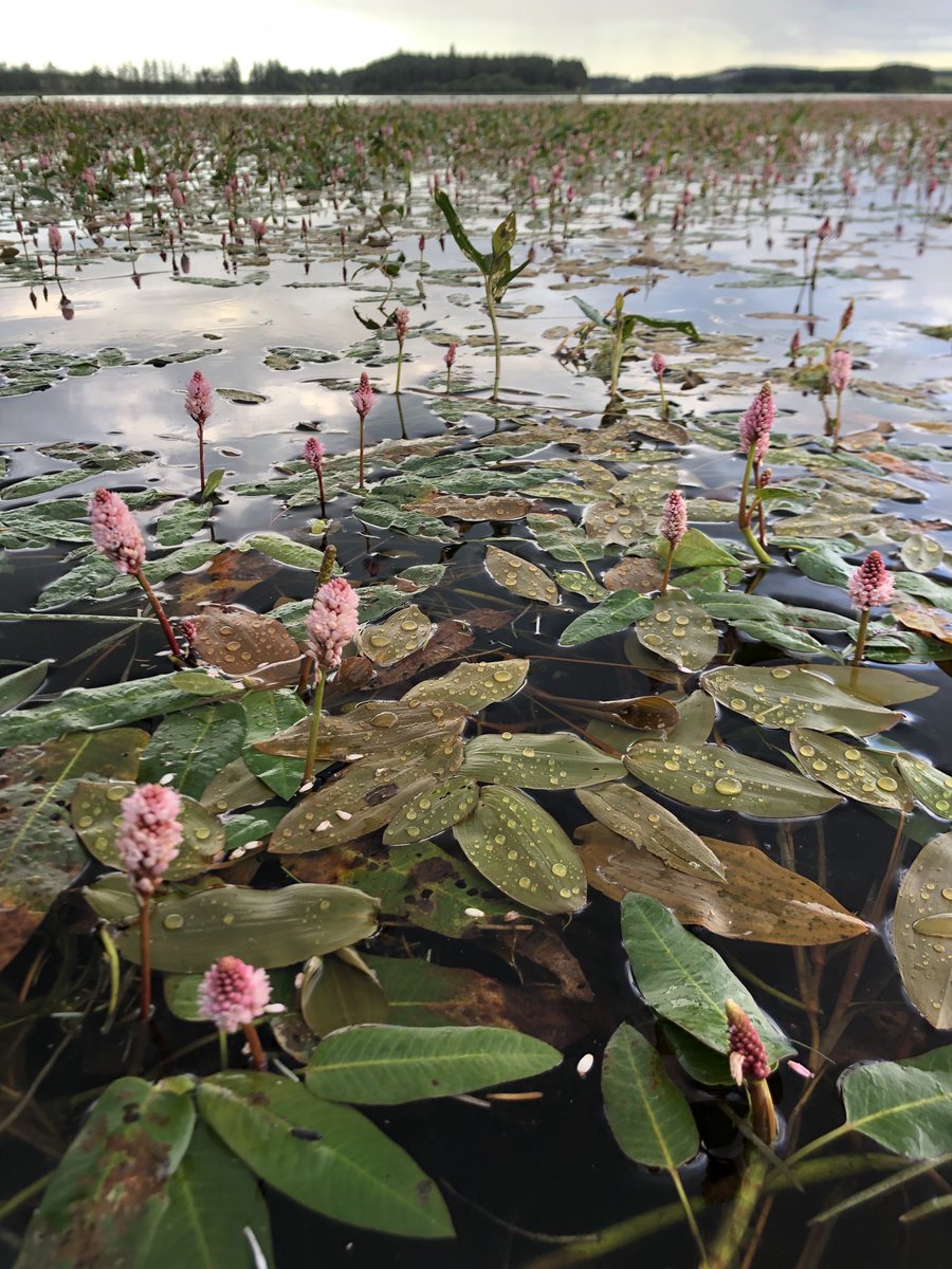 Ian Edwards tweet media