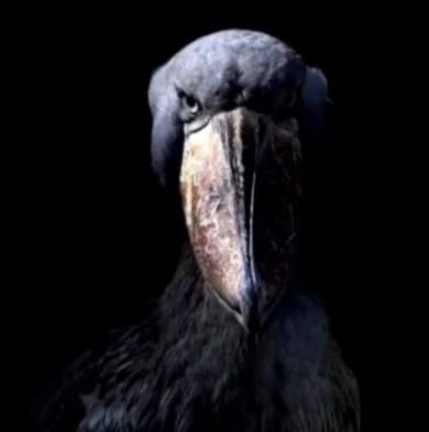 remusloo's tweet image. me meti al tl y vi que estaban peleando y fui literalmente este