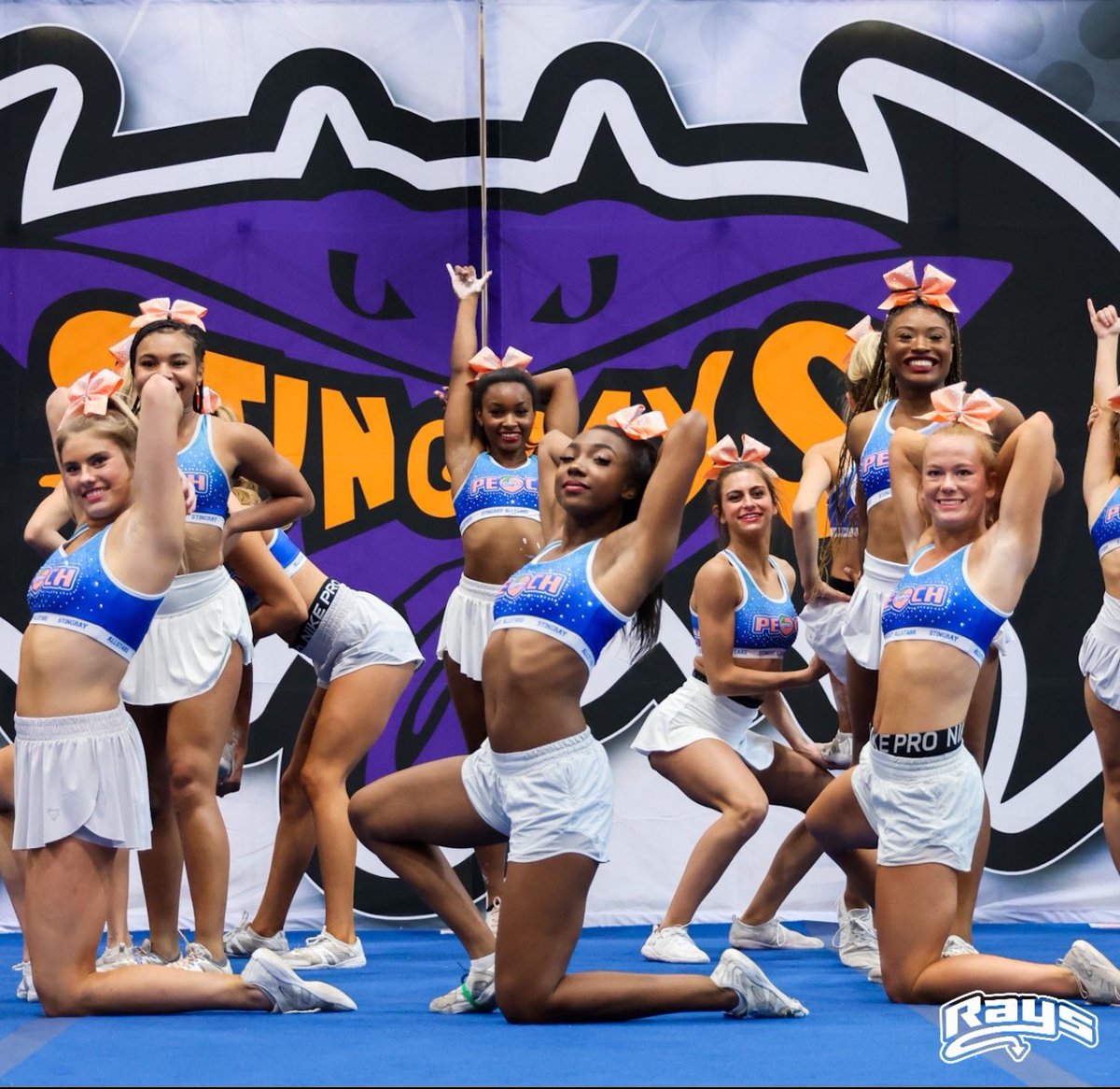 TheStingrayJams's tweet photo. Can you believe it’s almost Jam season?? 🎃👻🎪🍿 https://t.co/gRr5lfHK0C