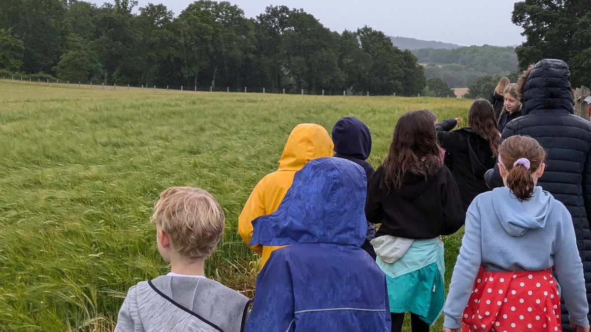 Wadhurst CE Primary School & Nursery tweet media