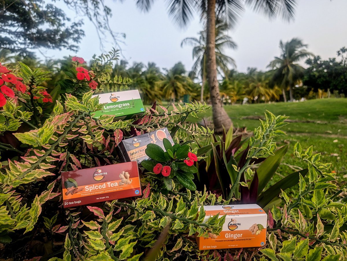 IslandTea758's tweet photo. Longing for the taste of Saint Lucian paradise? Pick Island Tea, every time! 🫖

#islandtea #madeinsaintlucia #madeforyou https://t.co/laxU46fUoG