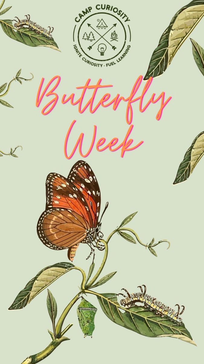 Well, there seems little point hunting for them this week but hopefully we can learn a little about them.