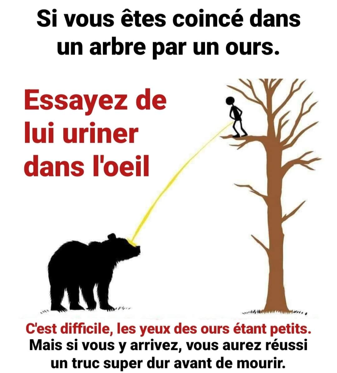 The Joconde 🐦 (@viedelajoconde) on Twitter photo 