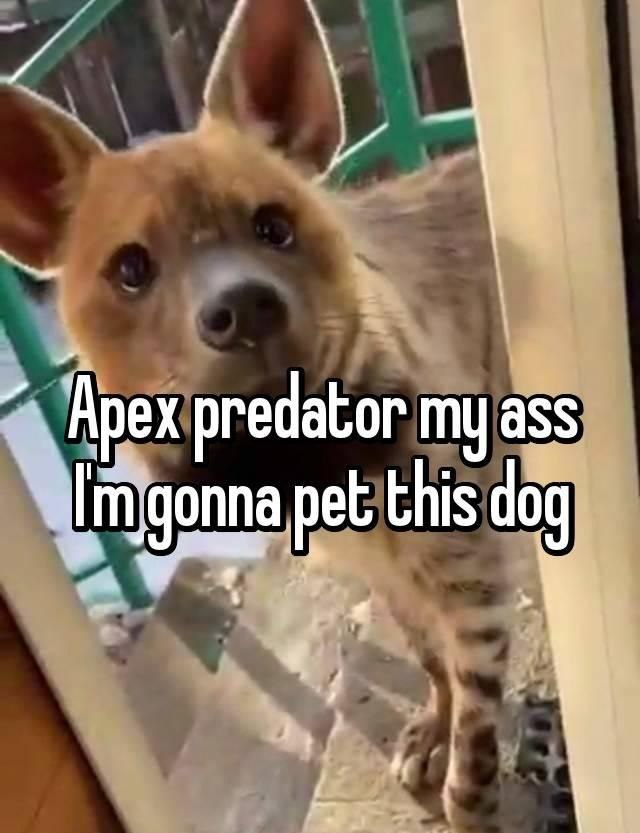 🌴Alek🌴 tweet media