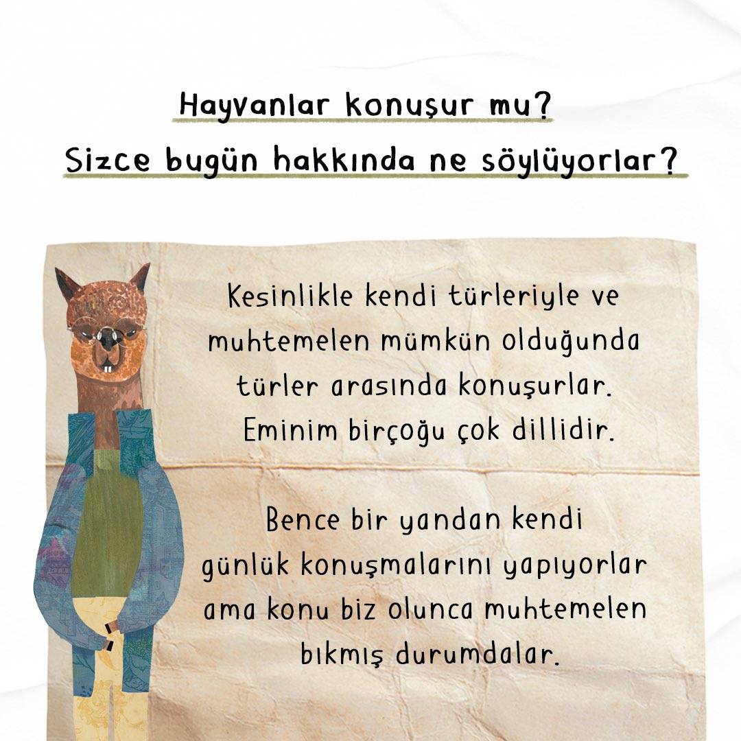 timasyayingrubu's tweet photo. Ferdi Çetin’in Konuşan Hayvanlar kitabımızın yazarı Joni Murphy ile yaptığı söyleşisi Milliyet Sanat’ın Temmuz sayısında! 🦙 
•
#konuşanhayvanlar #milliyetsanat #jonimurphy @Milliyet_Sanat https://t.co/TXDlMaQGGP
