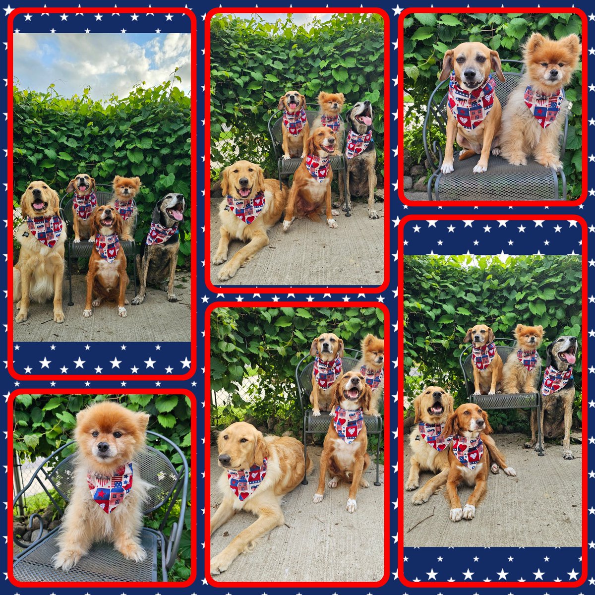 Sparkle like it's the 4th of July. My little firecrackers. 🧨