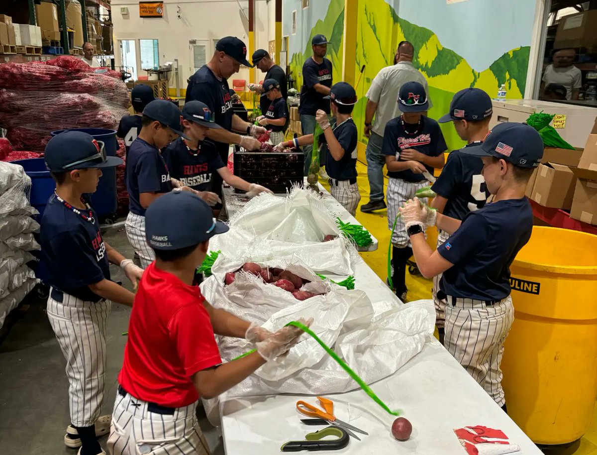 phhawksbaseball's tweet photo. The 10u 680 Hawks season has wrapped up, and what a journey it's been! The memories they've created are priceless. Thank you to all the families for covering all volunteer duties.  And a huge shout-out to the Field Crew for their hard work! GO HAWKS! https://t.co/7GQbxEO9Tc