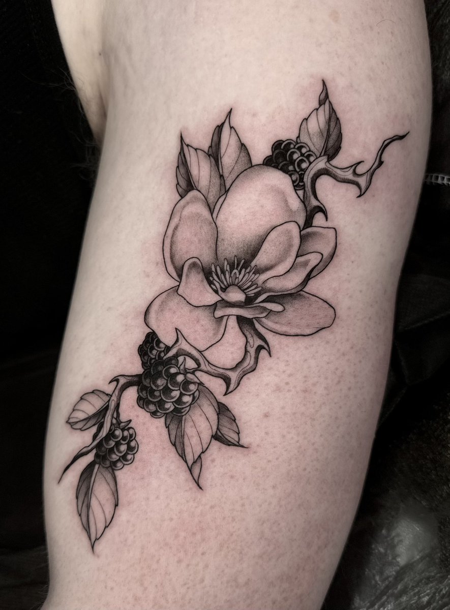 trinity_weese's tweet image. We’re so back