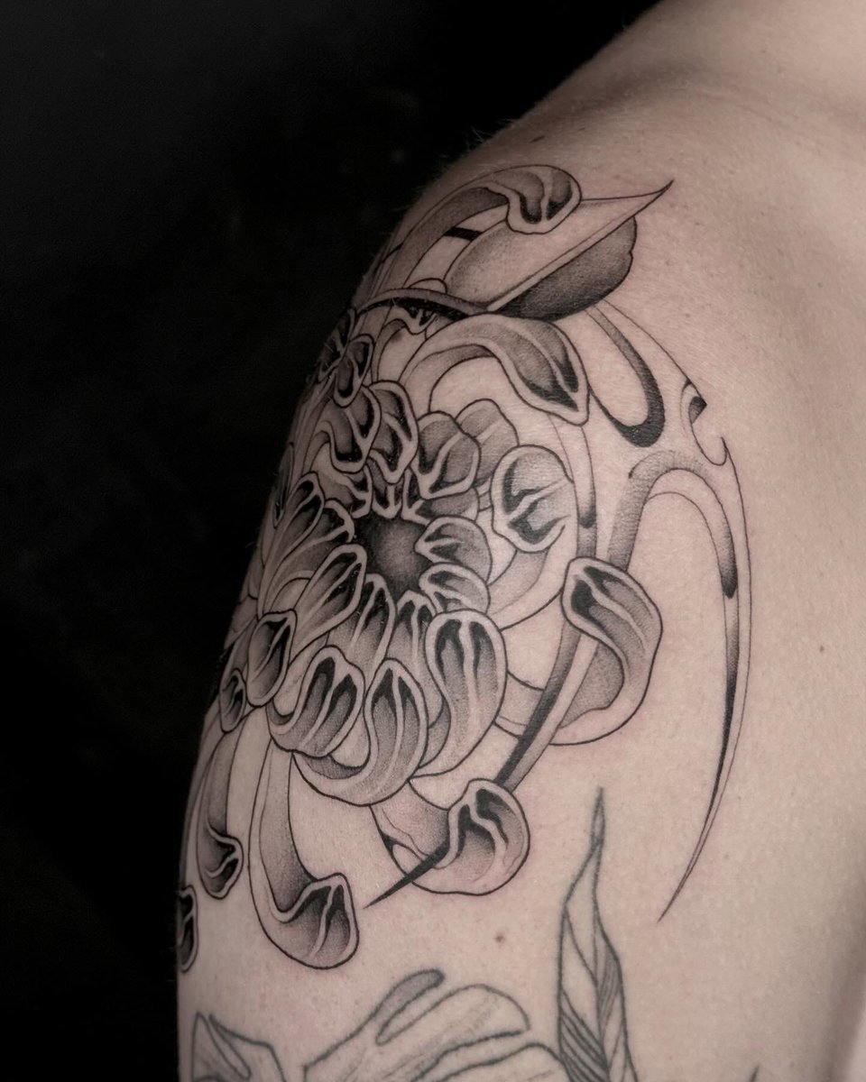 trinity_weese's tweet image. We’re so back