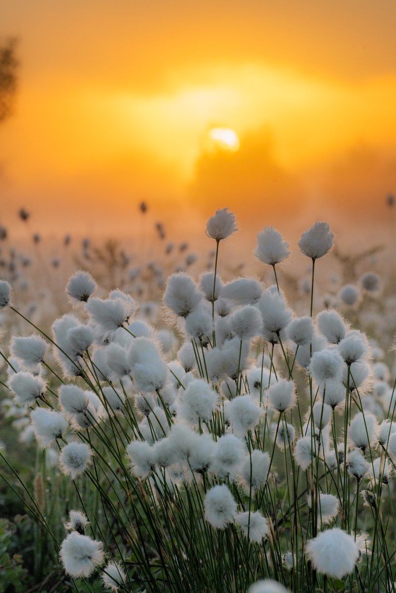 Sunrise✨
One of my favorite pics so far😌