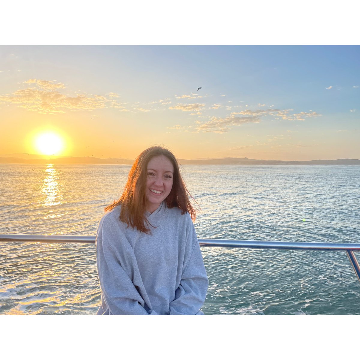 Charlotte Hammond tweet media