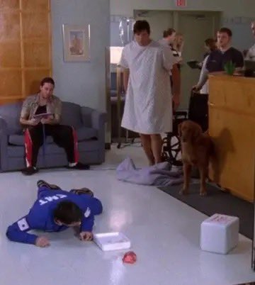 notgwendalupe's tweet image. 7 iconic scenes in television:

1) when the dog ate dan's donated heart in 'one tree hill