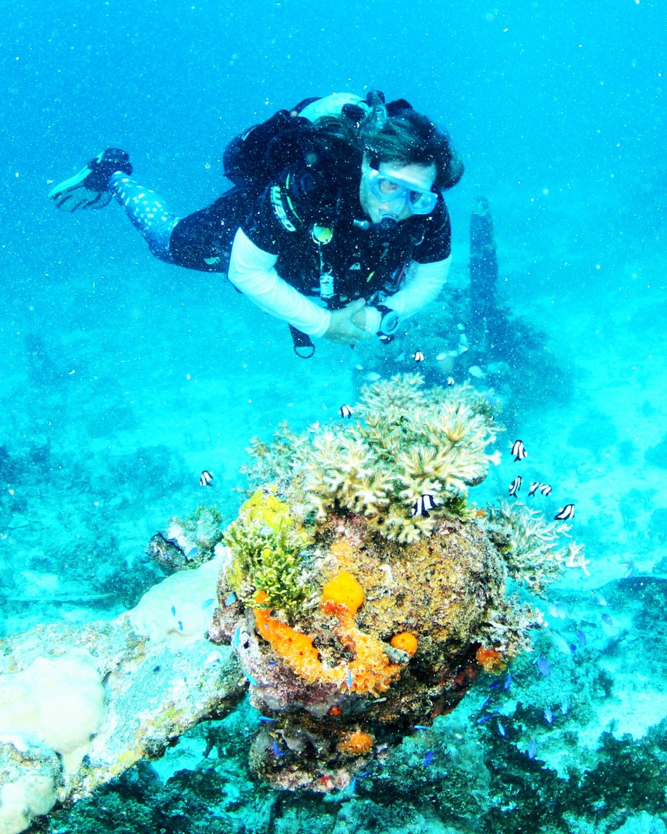 Diversinc's tweet image. Perfect your buoyancy control with our PADI Advanced Open Water course. Join Divers Incorporated to dive with confidence. #BuoyancyControl #AdvancedDiver #ScubaSkills