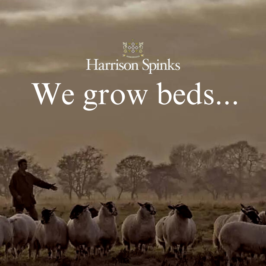 '' We Grow Beds ''

Your bed doesn’t start out life in a factory, but on a farm. A 300 acre farm in North Yorkshire to be precise. Here we rear sheep for their wool and produce the natural fibres that go into our fillings. Fibres like flax that is three times stronger than cot...