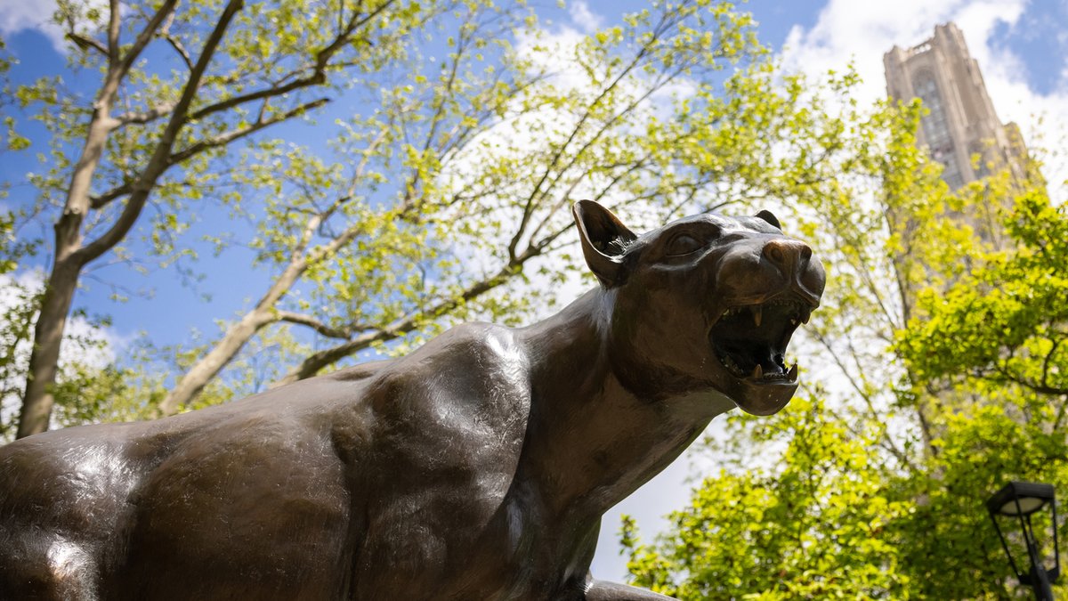 🌟 We are thrilled to announce that 14 out of 100 scholarships awarded by the American Association of Nurse Anesthesiology (AANA) Foundation have been granted to Pitt Nursing BSN to DNP Nurse Anesthesia students! 🎉 #h2p

MORE: nursing.pitt.edu/14-pitt-nurse-…