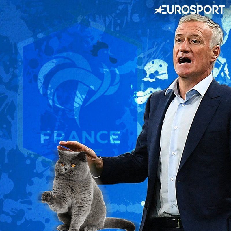 Philippe Da Costa tweet media