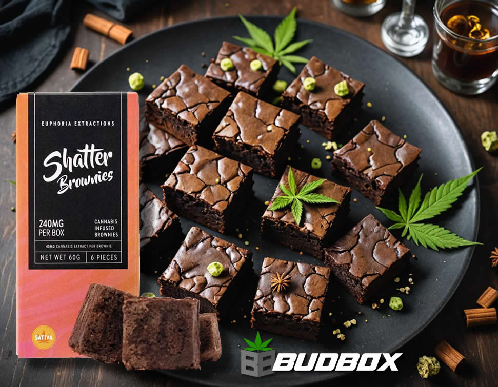 freespores's tweet photo. Happy Cannabis Day!  Get 20% off the entire store at https://t.co/7jsxBoHVOm  - Canada Only! https://t.co/kTYp1AjHvU