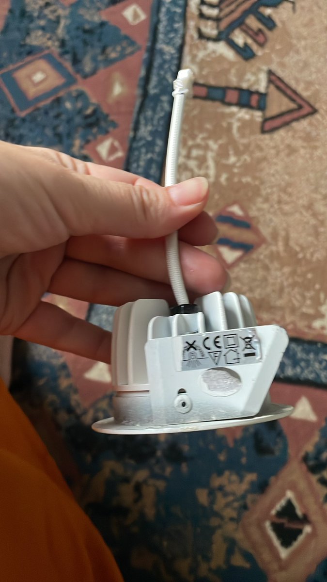 Ausra_bite tweet picture