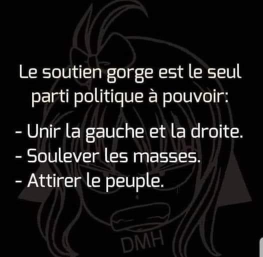 text alternatif