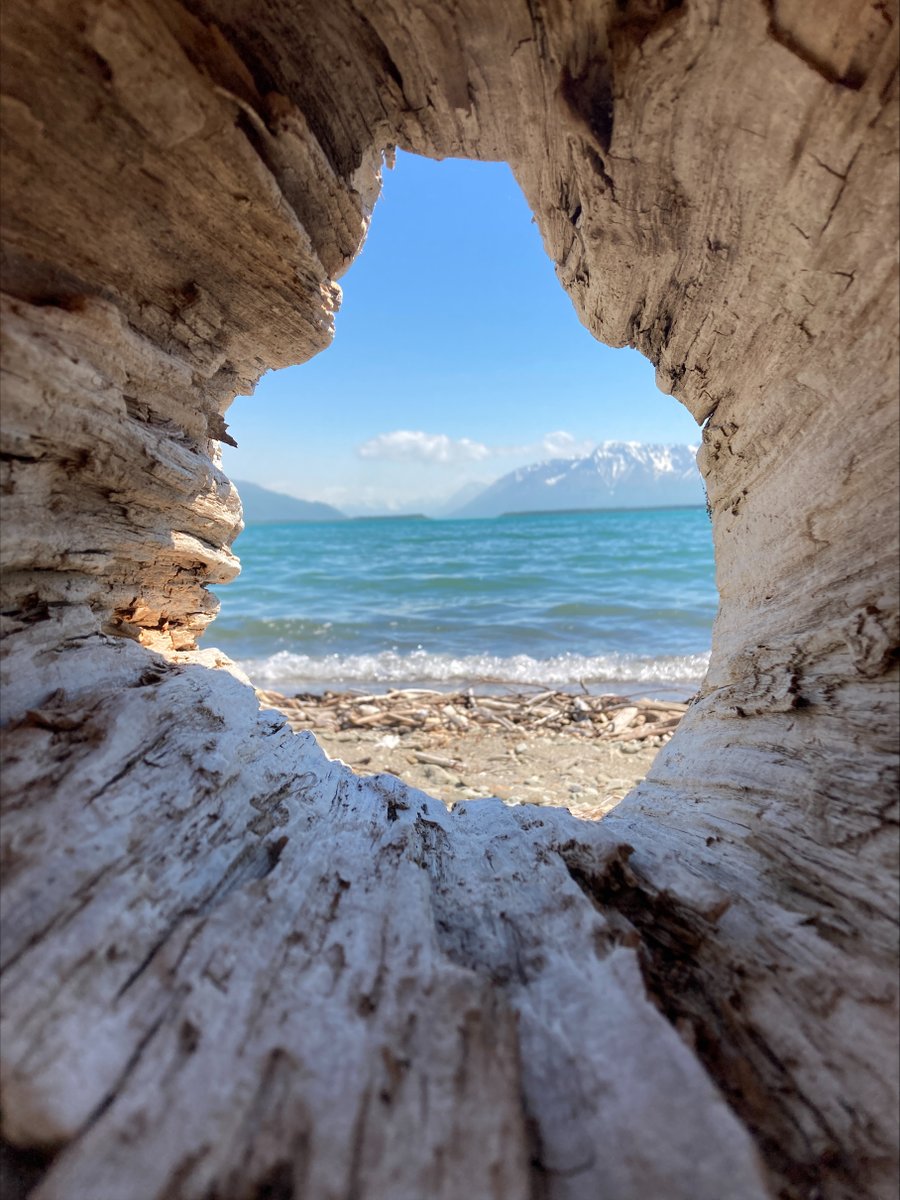 Ahh, the calm, warm waters of the Carib... Oh wait. Is that a snow capped mountain? 

Yep, this is Alaska in the summer, not the warm turquoise of the tropics. These waters are fed by snow and glacial melt and are frigid throughout the summer months

Photo Courtesy of M. Boles