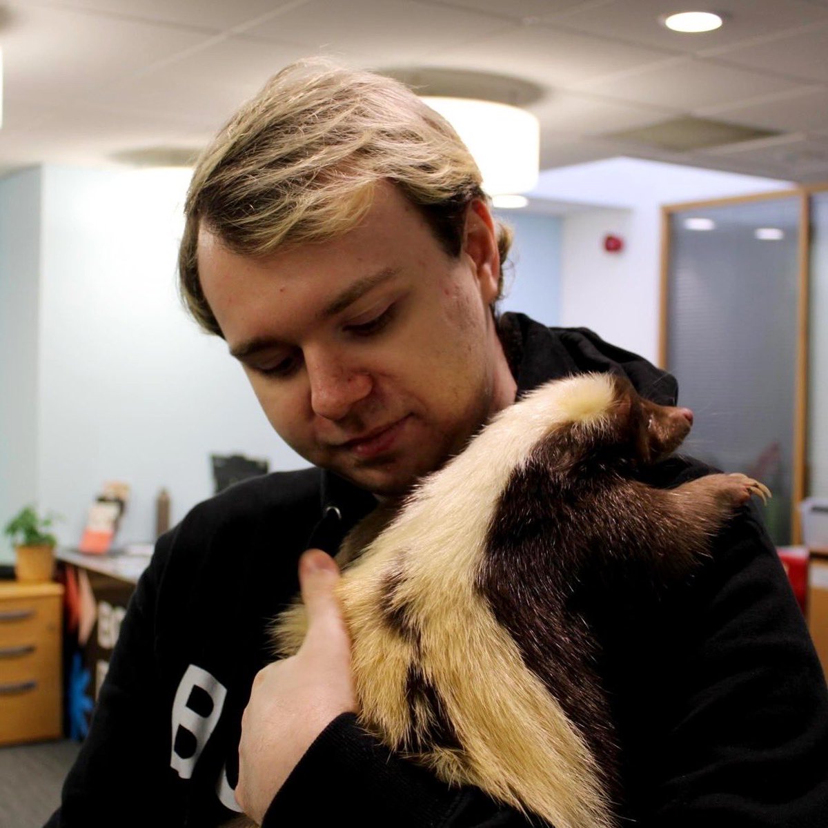 BCU Students' Union tweet media