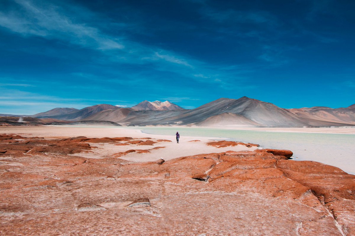 Encounters Travel tweet media