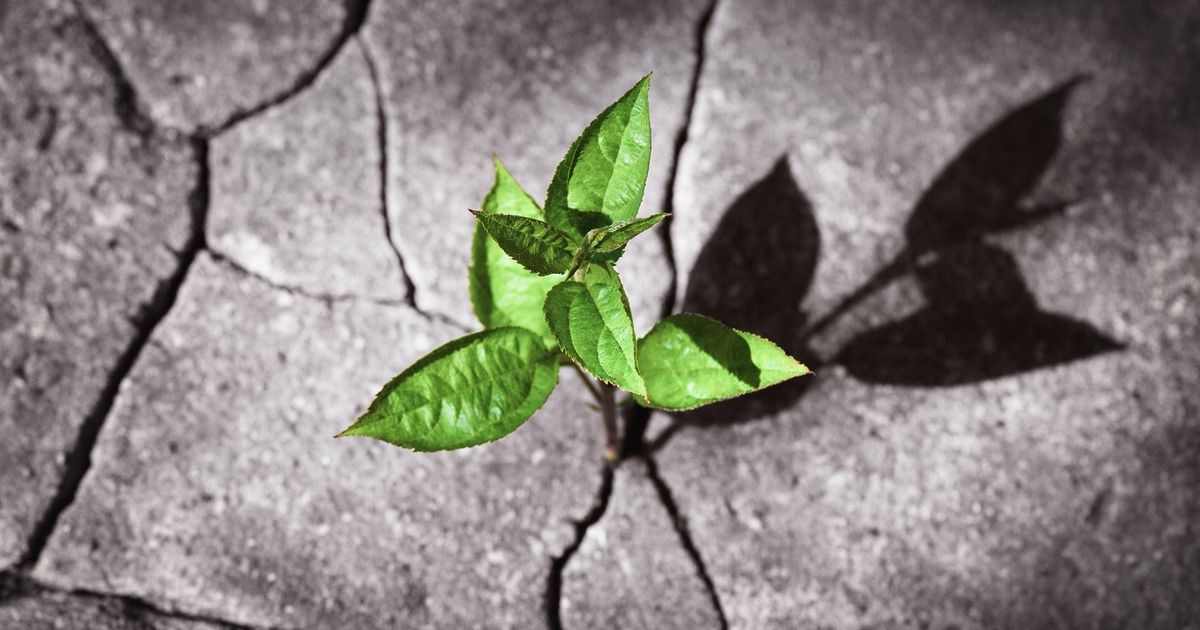 #Cybersecurity is mandatory, yet inherently limited. Strong cyber resilience will help your enterprise continue functioning even during the worst of times. 
buff.ly/3URVx5E 
#cyberresilience