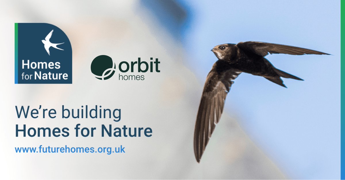 Orbit Group (@orbitgroup) on Twitter photo Our team at #OrbitHomes is delighted to sign the #HomesforNature commitment, developed by the <a href="/FutureHomesHub/">Future Homes Hub</a> to support more wildlife on new developments.
This will see a bird-nesting feature installed for every new home, plus hedgehog highways as standard on all developments. Our team at #OrbitHomes is delighted to sign the #HomesforNature commitment, developed by the <a href="/FutureHomesHub/">Future Homes Hub</a> to support more wildlife on new developments.
This will see a bird-nesting feature installed for every new home, plus hedgehog highways as standard on all developments.