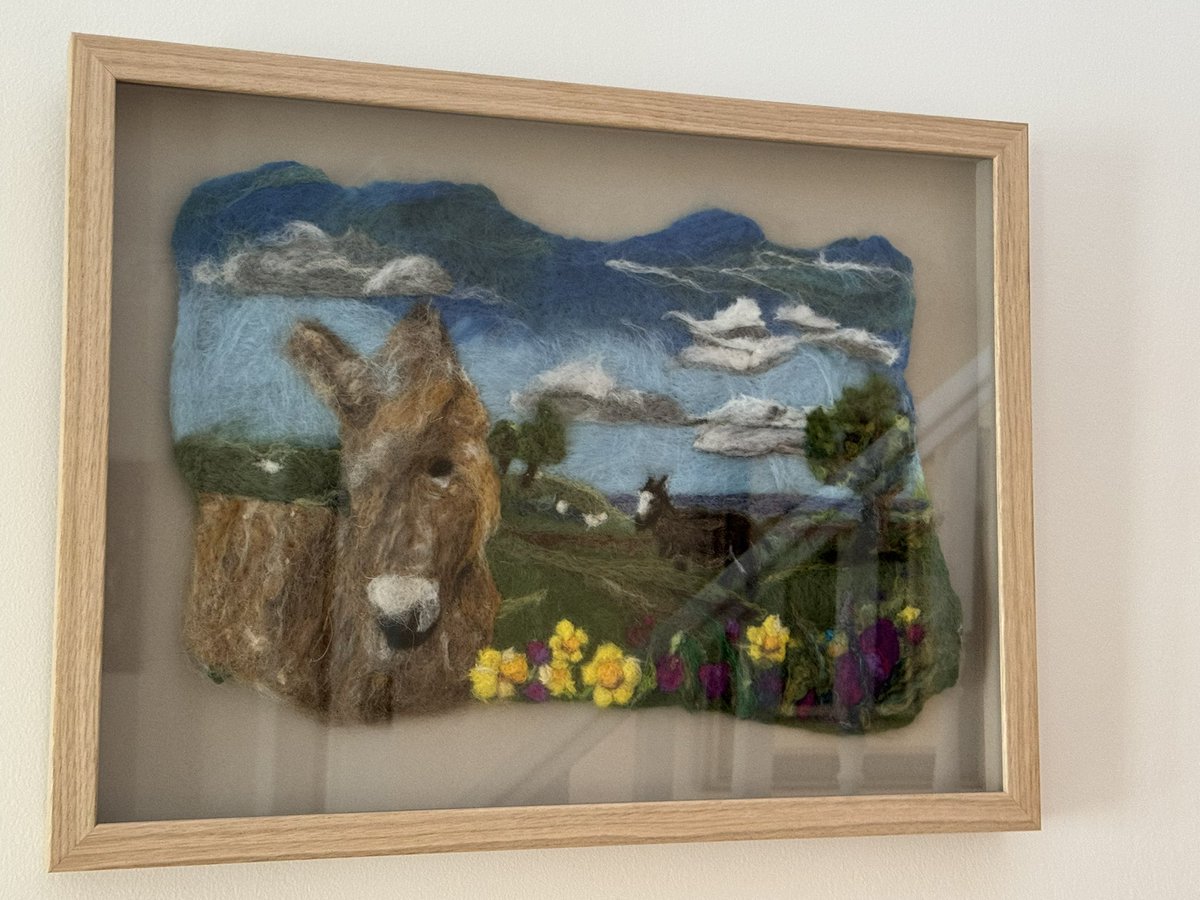 Junior20Office's tweet image. Pals😃 We #OJs have been on a tour of South Devon &amp;amp; ended up @DonkeySanctuary so PA could donate her wool creation of #Percy and we met @Rufus_The_Red so we could search for the real Percy!! He was bit elusive but our “PercyVeerEnce”eventually paid off ! ☺️ He’s amazing! 🤩