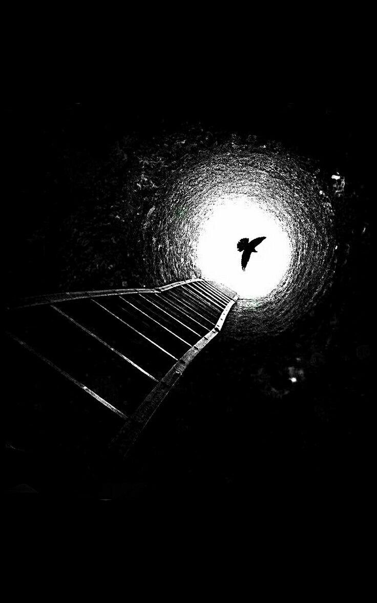 -قالوا:
الكلمات من شأنها
 أن تصنع
 معجزات؛
تخلق ثورة؛
تنسج حرية بلا جناحان...!

-كتبتُ ثم كتبتُ...
وجلّ حروفي نداء:
"أيها الوطن أني
أحبك...
ولك الفداء".

ما بال الحياة فيك
 يا وطني
تأخذ طابع الجنازات!
و النصوص تتبرأ
من معانيها!

والشوارع تنتفض وتقول:
"هذا الوطن ليس لنا"!

..⬇️(1)