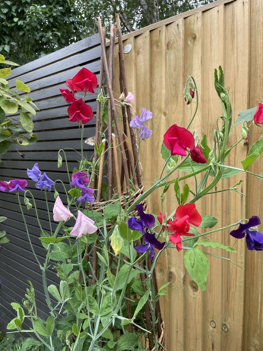 vanessaelliott tweet media