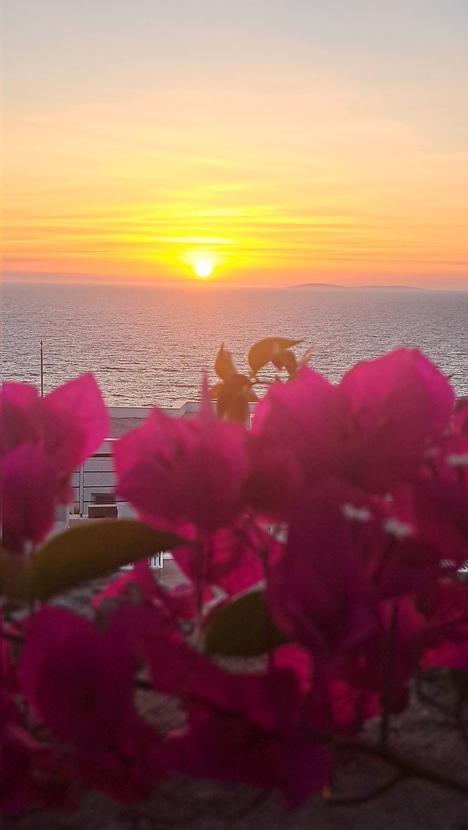 BhrAvc75's tweet photo. Diyorlar;
Kül olmaz
Ateş Yanmadan🔥
Denizler 🌊
Durulmaz
Dalgalanmadan....
Keyifli Akşamlar🥂
#NiceEvening 🃏♠️♥️♣️♦️
#Sunset🌞🥂 https://t.co/Lp0h9ikXft