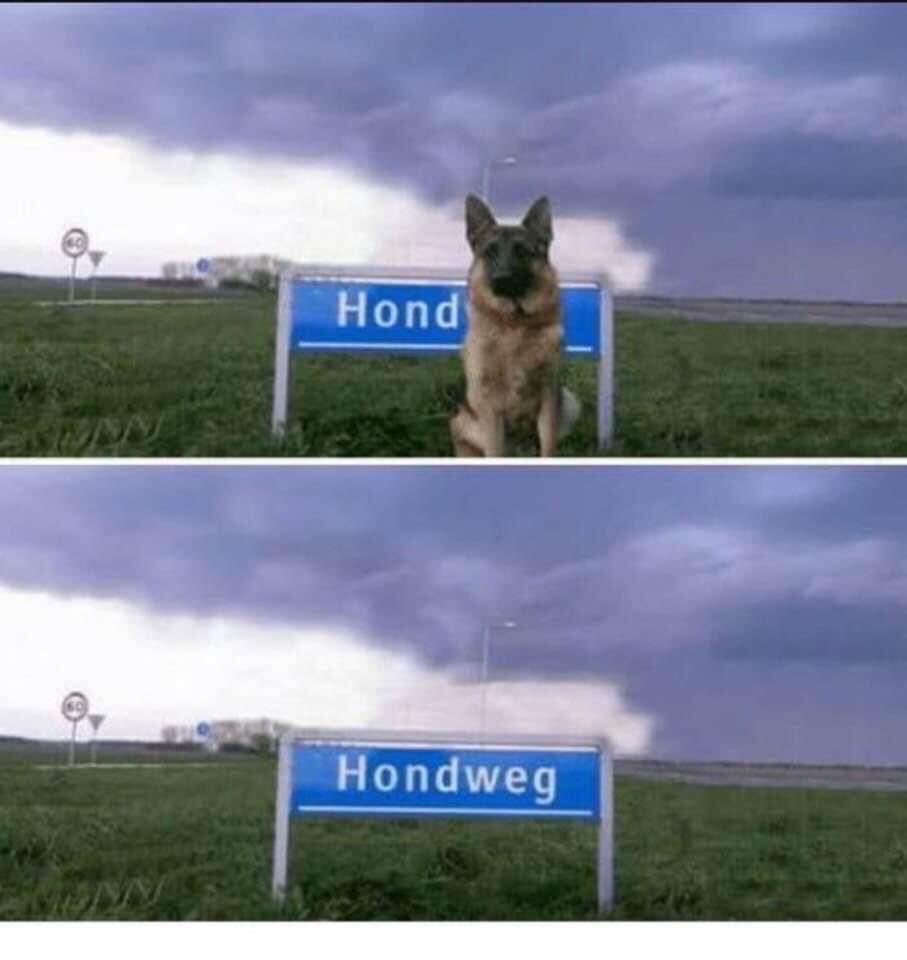 Globetrotter6 (@wereldreiziger6) on Twitter photo 