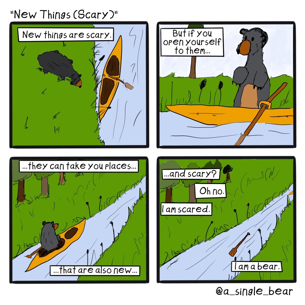 A bear tweet media