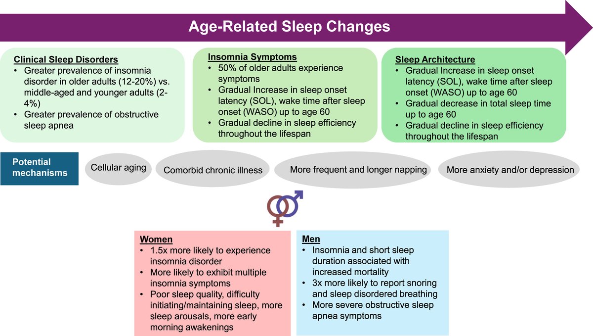 Dr. Ashley F. Curtis (@ashleyfcurtis) on Twitter photo New <a href="/CASHlabUSF/">CASH Lab</a> Pub Alert: Tackling Insomnia in Late Life. Collaboration with <a href="/ChristinaMccrae/">Christina McCrae</a> <a href="/McCraeSleep/">McCrae Sleep Research Lab</a> <a href="/MelanieAStearns/">Melanie Stearns, Ph.D.</a> <a href="/USFHealthNurse/">USF Health Nursing</a> sciencedirect.com/science/articl… New <a href="/CASHlabUSF/">CASH Lab</a> Pub Alert: Tackling Insomnia in Late Life. Collaboration with <a href="/ChristinaMccrae/">Christina McCrae</a> <a href="/McCraeSleep/">McCrae Sleep Research Lab</a> <a href="/MelanieAStearns/">Melanie Stearns, Ph.D.</a> <a href="/USFHealthNurse/">USF Health Nursing</a> sciencedirect.com/science/articl…
