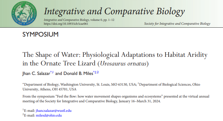 The first publication for my PhD thesis is finally out. This study focuses on water loss and hydration in Urosaurus ornatus. Great collaborative work with <a href="/LizardProf/">Donald Miles</a> Here the full text doi.org/10.1093/icb/ic…
<a href="/ICB_journal/">ICBJournal@sicb.org</a>