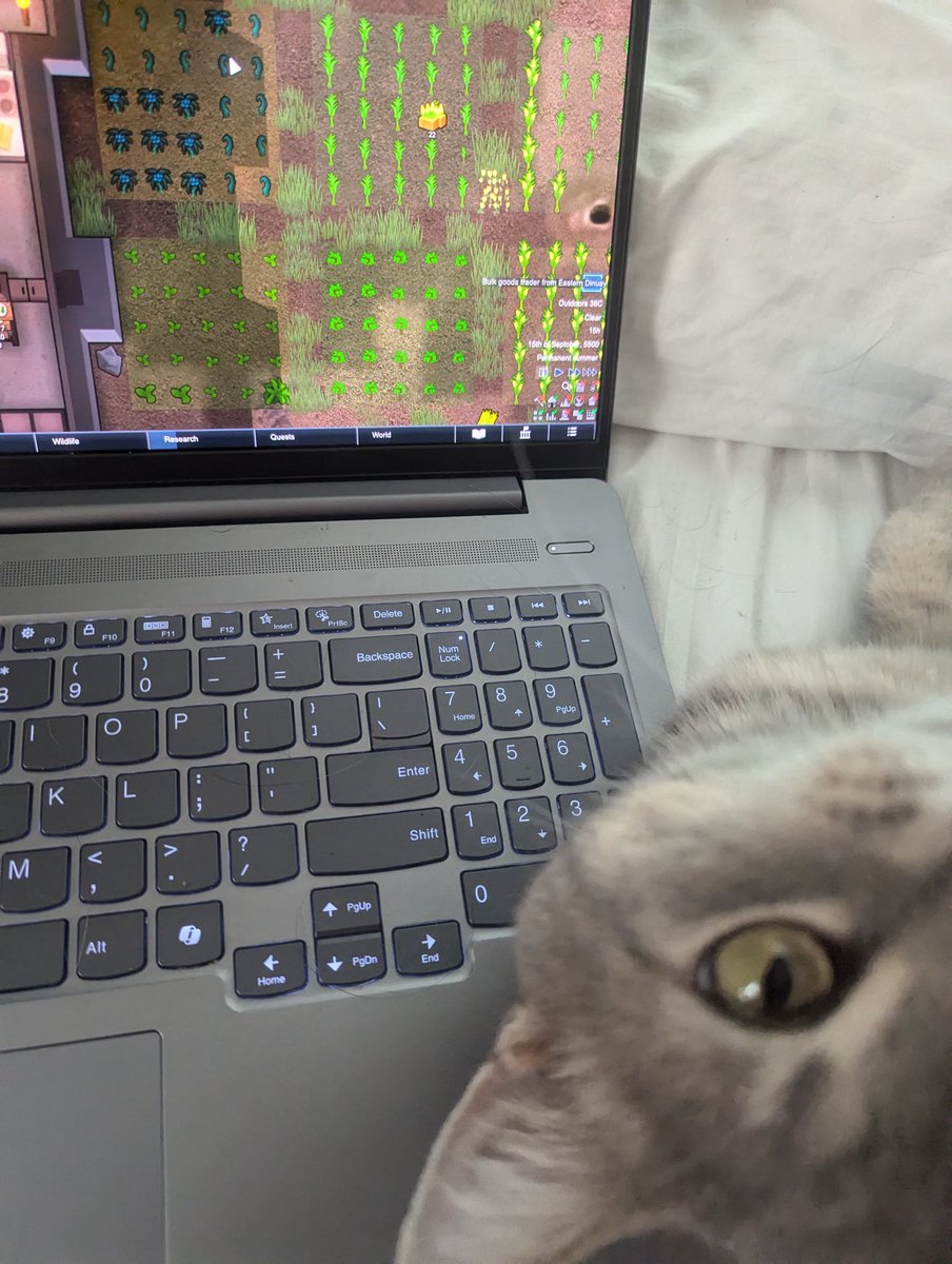 bowwow (fully magnetic) tweet media