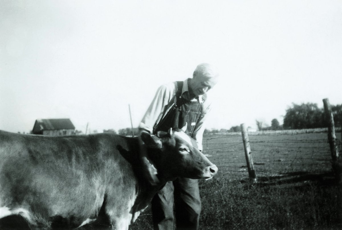 Heifer's tweet photo. July is our anniversary month! 🥳 On July 14, Heifer International will celebrate 80 years of ending hunger and poverty.

You can become a part of history with a life-changing donation today.

Donate now → https://t.co/1yzyNNekxq https://t.co/o5SpNVhhDA