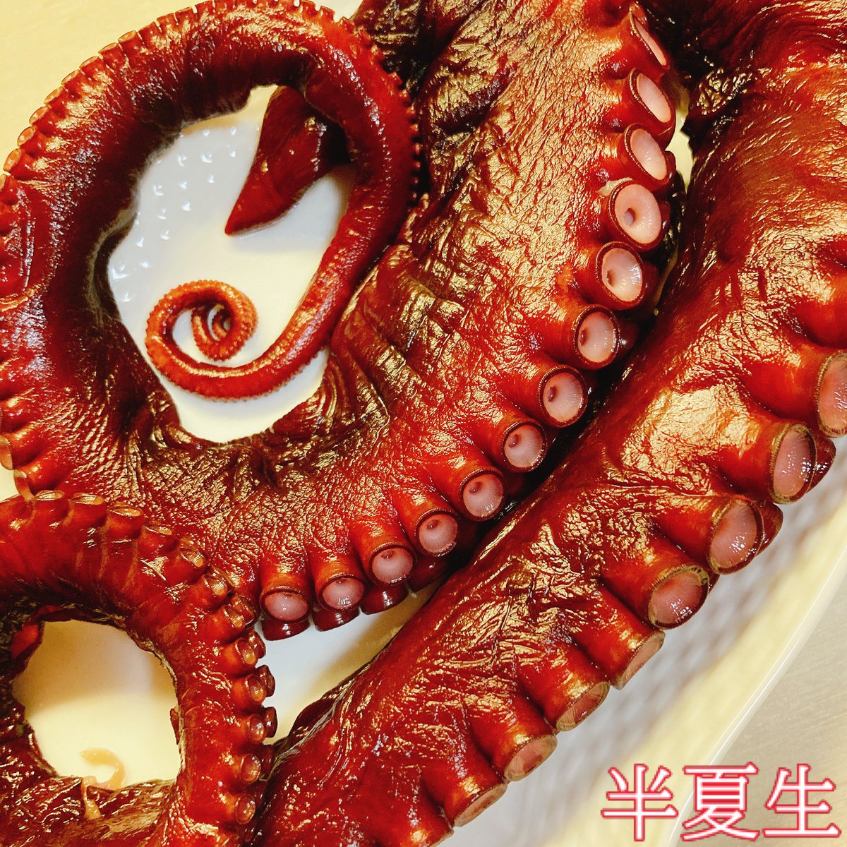 MINTHOUSELtd's tweet photo. 【半夏生】  

今年は7月1日から
田植えを終えた稲が、土に流されることなく蛸の足のように四方八方伸びてしっかり根付くように
願いを込めて、蛸を食べる半夏生

今年は北海道産の蛸🐙
https://t.co/zQxriAPmGX

#半夏生 #半夏生にたこ #愛犬おとなしにもお福分け #ていねいに暮らす https://t.co/cRP9t2oRCh