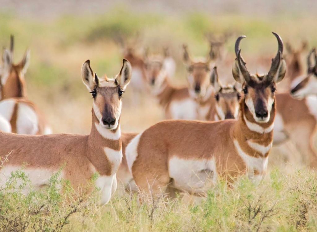 adventurepub tweet media