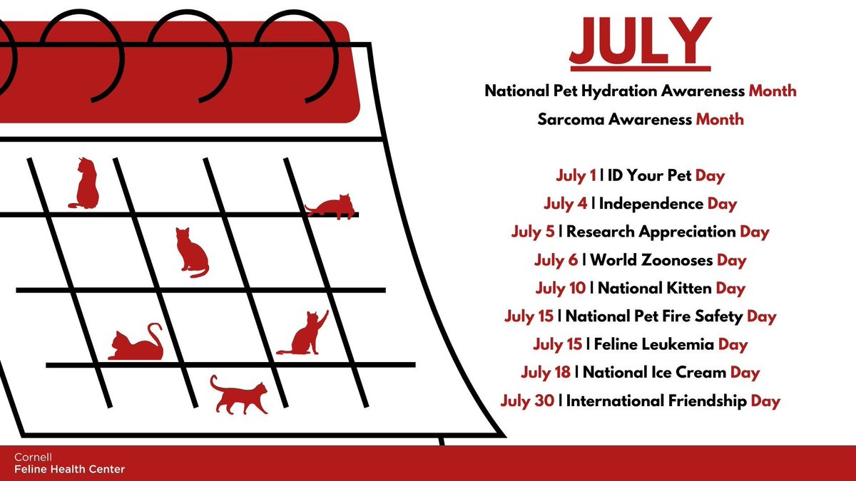 cornellcats's tweet photo. Here is a look at some of the important dates and themes coming up this month! We'll have more info and showcase additional days as we progress through July. 🐱 https://t.co/5wE64qG1qg