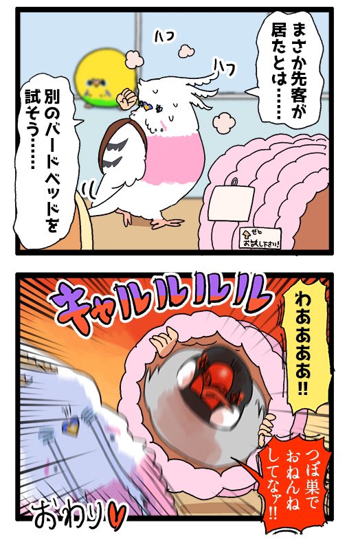 【羽やすめ漫画】鳥たちに人気の家具屋さん。そのベッドコーナーには魔物が住んでいるという……
32 #えるポピの羽休め漫画