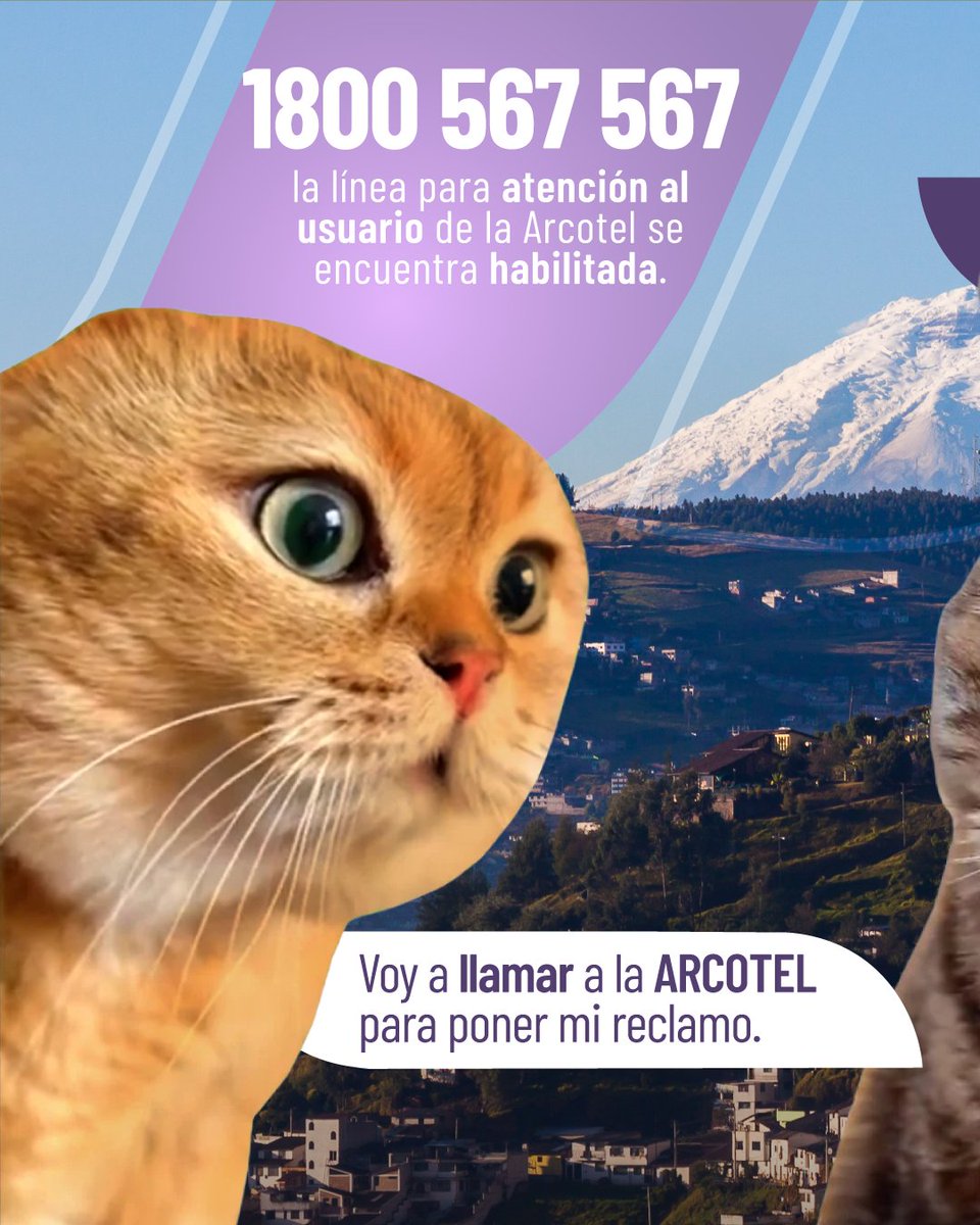 Arcotel_ec's tweet photo. Si tu reclamo sobre los servicio de telecomunicaciones no fue resuelto por tu prestador⚠️, @Arcotel_ec cuenta con la línea📞1800 567-567 para realizar el seguimiento de tu requerimiento o consulta ingresado a través de la plataforma https://t.co/fbBbgfs1wj.
#CuidamosTusConexiones https://t.co/pq85jS5geA