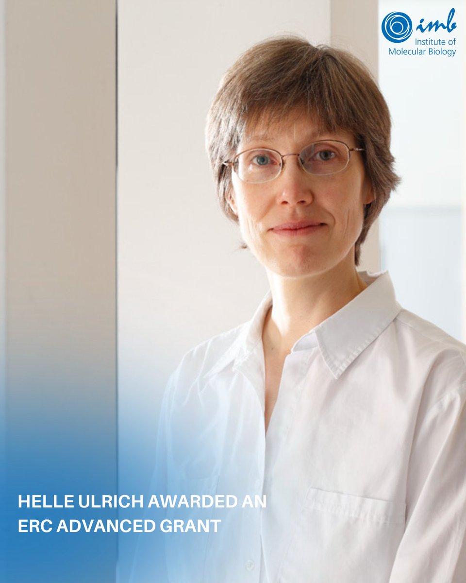 IMB Mainz tweet media