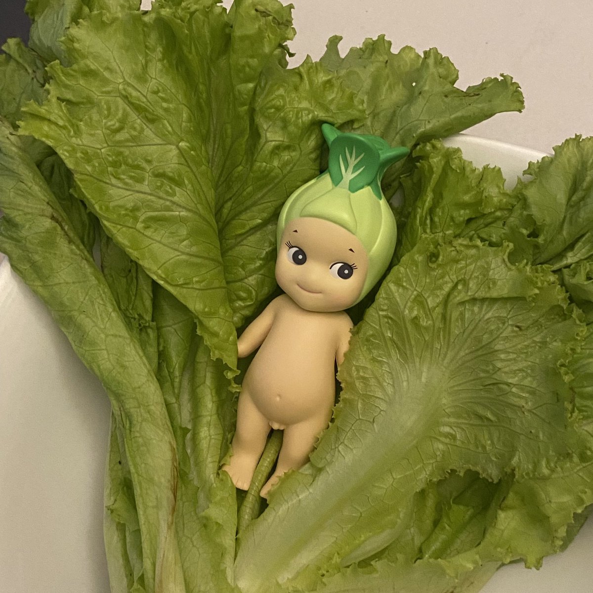 terbacoq's tweet image. 😹🥬